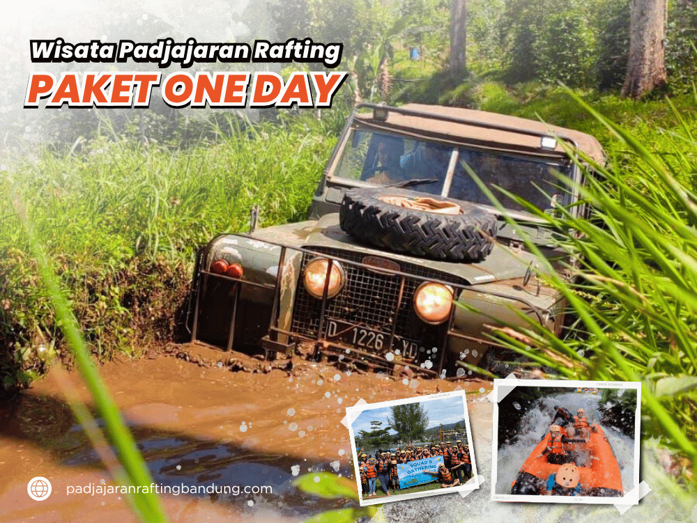 One Day Package